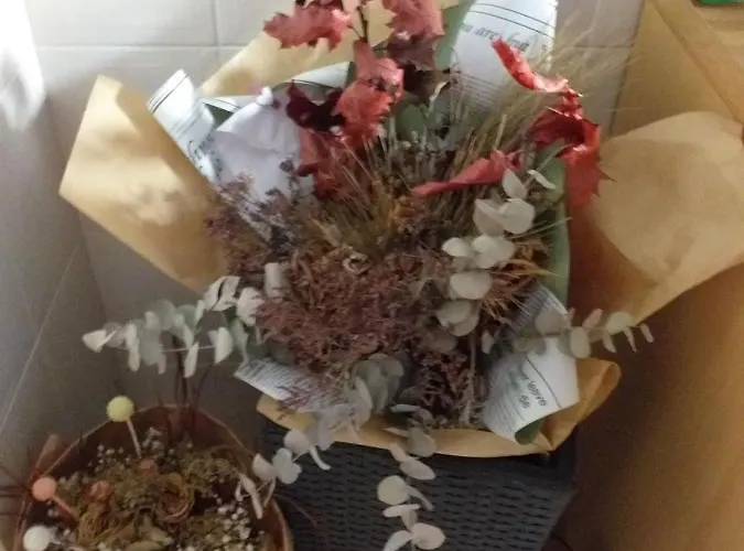 Luxury Sonja 아파트 포레치