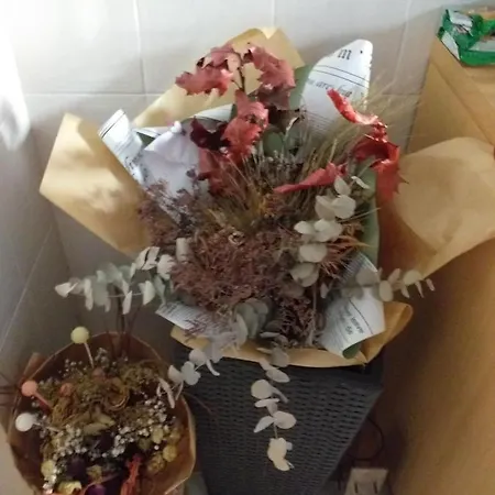 Luxury Sonja Διαμέρισμα Πόρετς